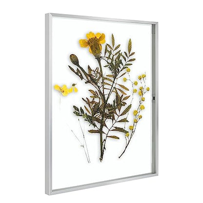 Floating Picture Frame 11x14 - Real Glass - for Wall Mount Displays