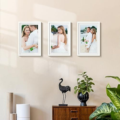 Picture Frame, Display Pictures with Mat or Without Mat, Wall Hanging Photo Frame