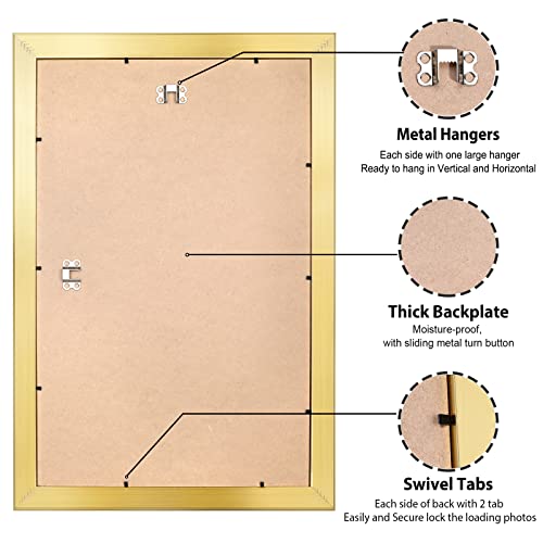 All Sizes Picture Frame, With or Without Mat, Stable and Sturdy Frame and Polished Plexiglass, Horizontal and Vertical Hanging