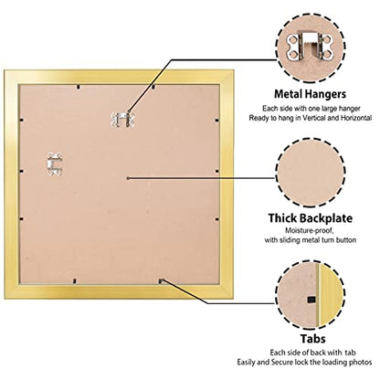 All Sizes Picture Frame, With or Without Mat, Stable and Sturdy Frame and Polished Plexiglass, Horizontal and Vertical Hanging