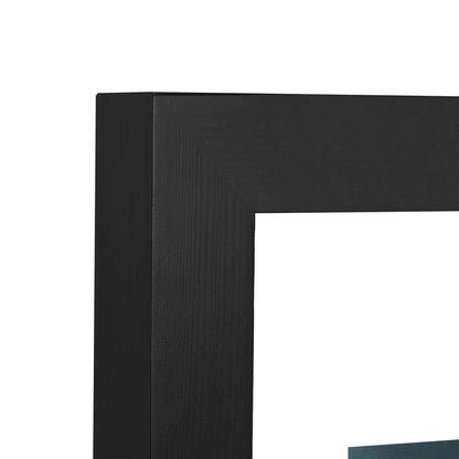 Floating Frame, Black Wood Double Glass Picture Display 11x14/16*20/18*24 Photos Plant or Petal Specimens for Wall Hanging - Mounting Kit Included