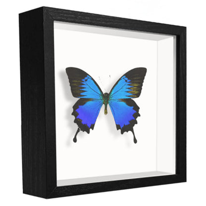 Shadow Box Frame Display Case with Letter Stickers, 3D Picture Frame, Display Case Box for Memorabilia, Baby Items, Wedding Memories, Crafts, Tickets and Photos