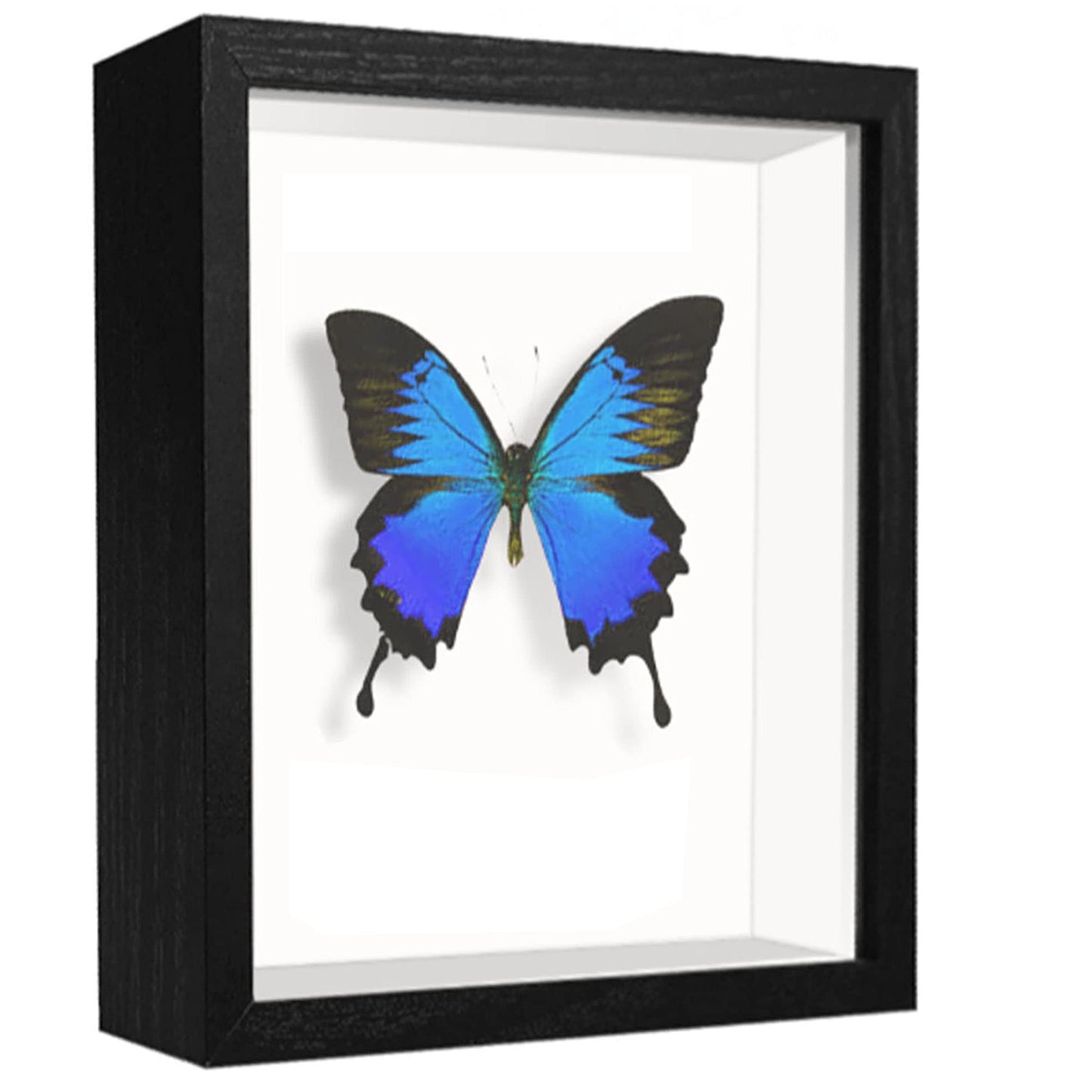 Shadow Box Frame Display Case with Letter Stickers, 3D Picture Frame, Display Case Box for Memorabilia, Baby Items, Wedding Memories, Crafts, Tickets and Photos