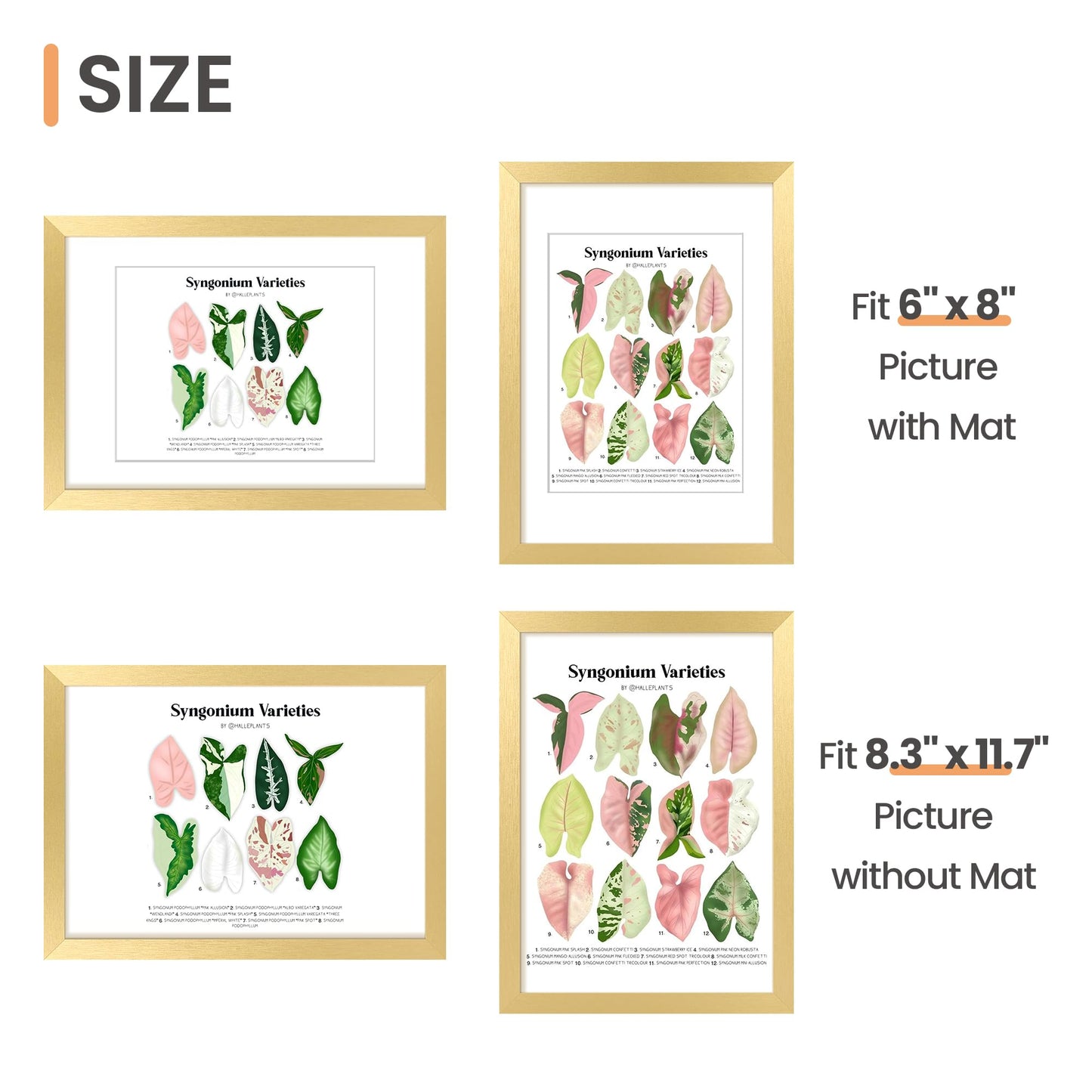 Picture Frame, Display Pictures with Mat or Without Mat, Wall Hanging Photo Frame