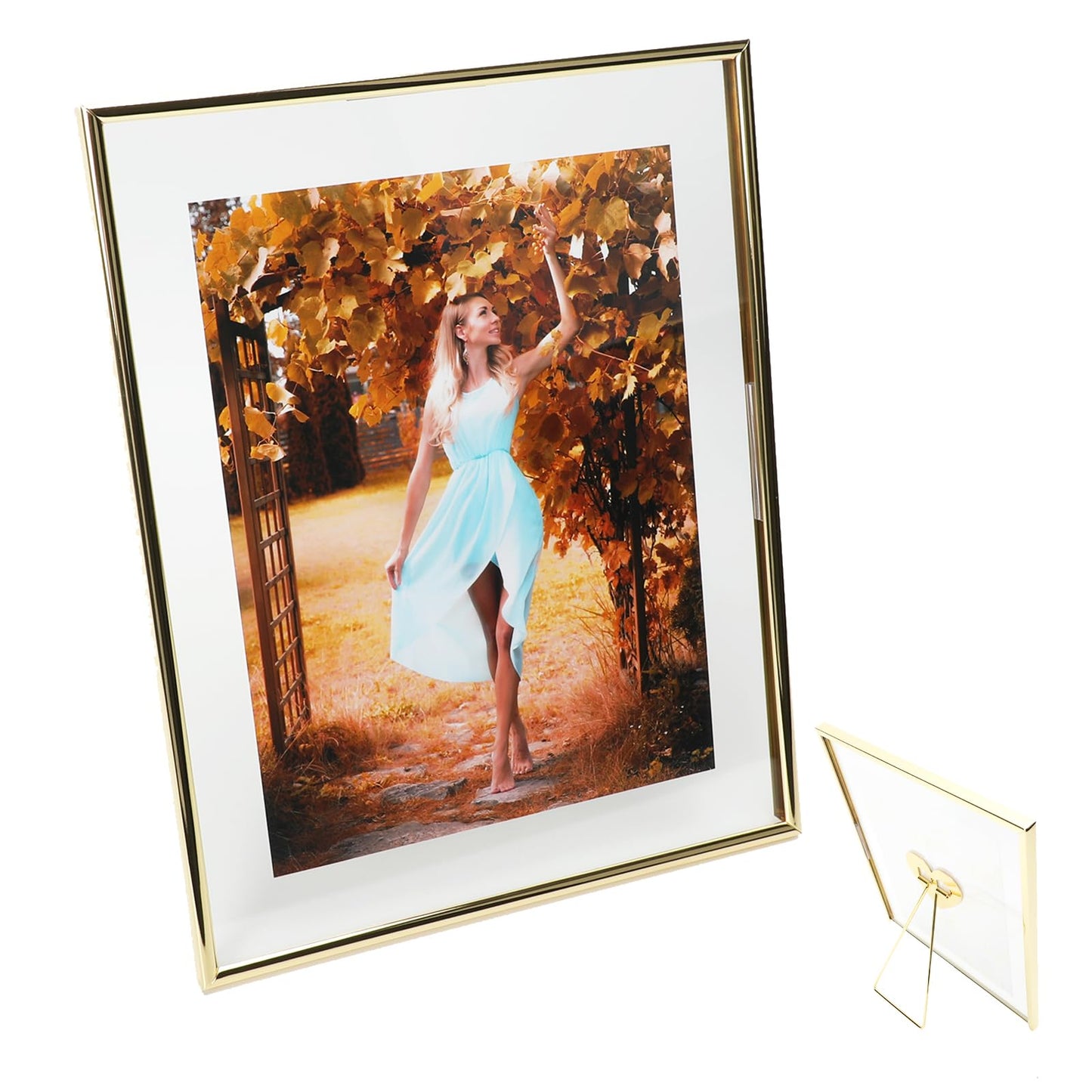 Gold Floating Frame Tabletop Shelf Photo Frames