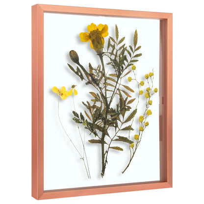 Floating Picture Frame 11x14 - Real Glass - for Wall Mount Displays