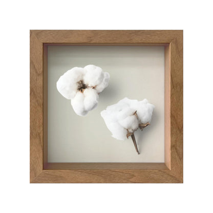 Wooden Shadow Box Frame – Display Case with Soft Felt Back, Memory Box with Tempered Glass, Elegant White Ball Push Pins