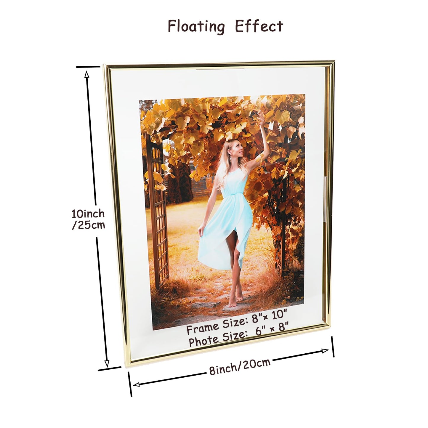 Gold Floating Frame Tabletop Shelf Photo Frames