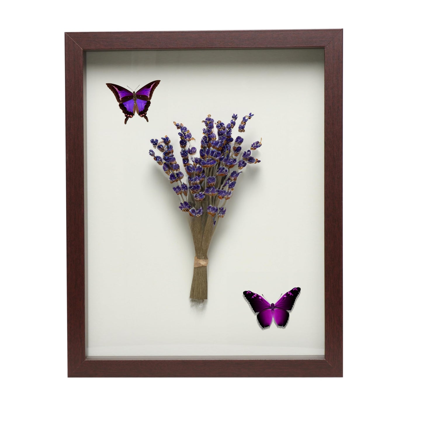 Wooden Shadow Box Frame – Display Case with Soft Felt Back, Memory Box with Tempered Glass, Elegant White Ball Push Pins