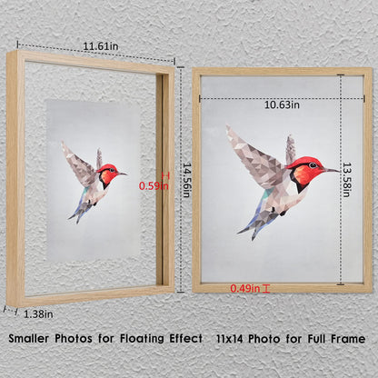 Floating Frame Set of 2, Double Glass Rustic Photo Frame for Wall Hanging or Tabletop, Display 4x6 or 3x5 Photo for Floating Effect