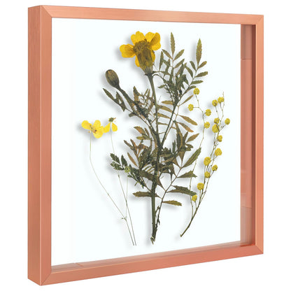 Floating Picture Frame 11x14 - Real Glass - for Wall Mount Displays