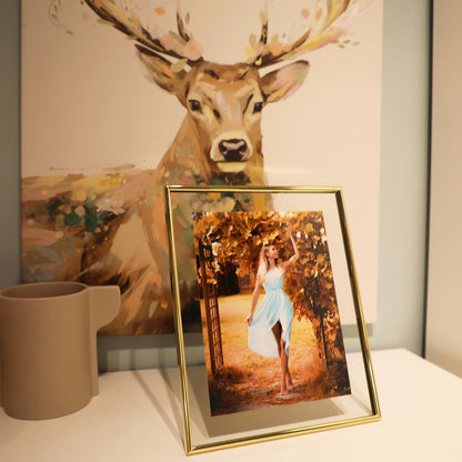 Gold Floating Frame Tabletop Shelf Photo Frames