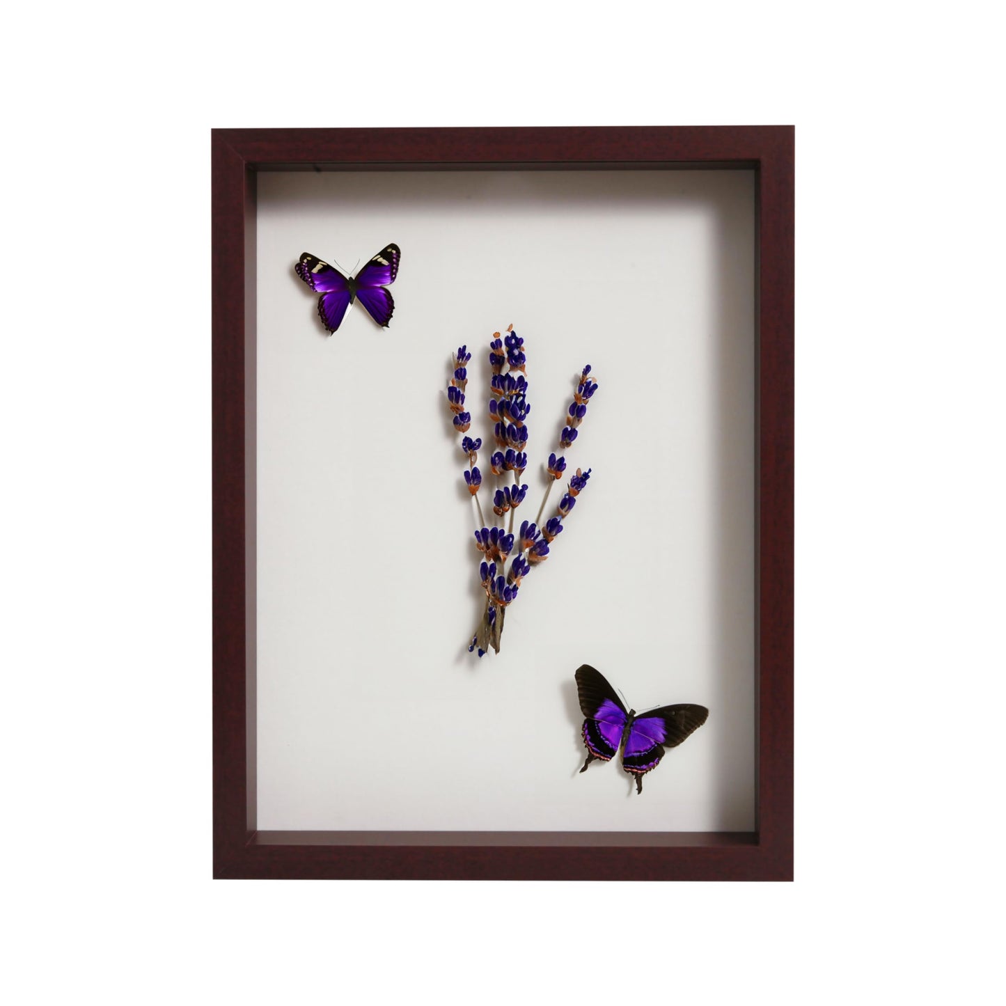 Wooden Shadow Box Frame – Display Case with Soft Felt Back, Memory Box with Tempered Glass, Elegant White Ball Push Pins