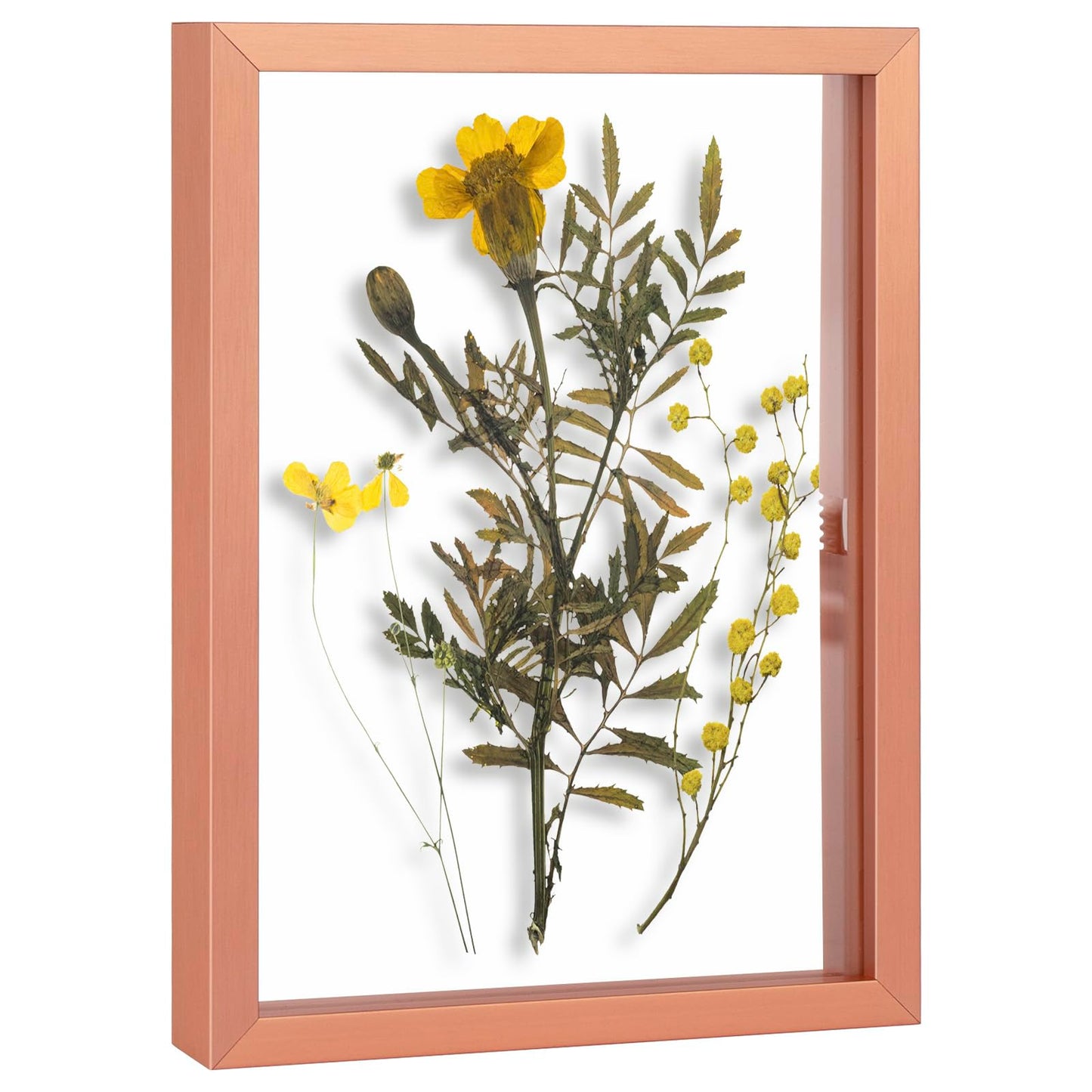 Floating Picture Frame 11x14 - Real Glass - for Wall Mount Displays