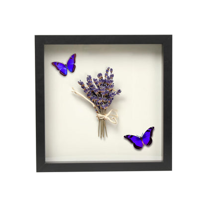 Wooden Shadow Box Frame – Display Case with Soft Felt Back, Memory Box with Tempered Glass, Elegant White Ball Push Pins