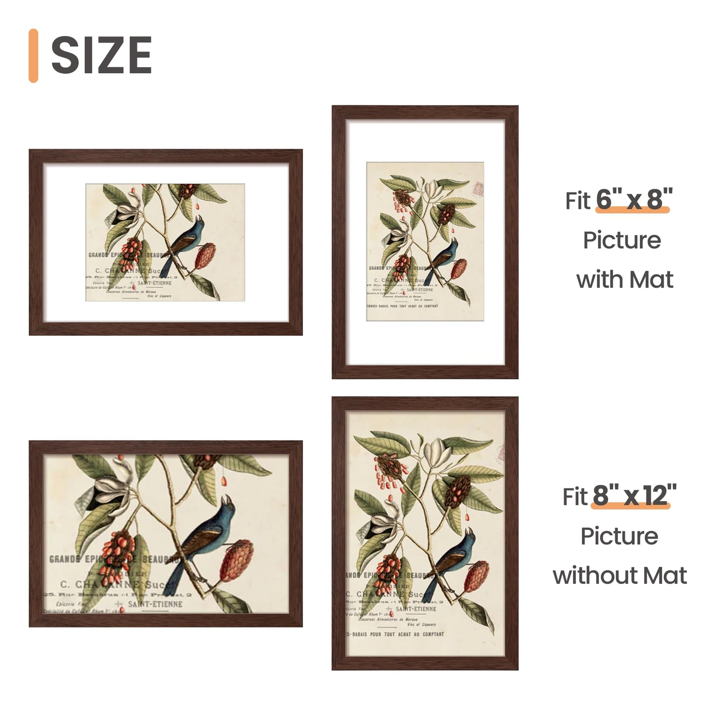 Picture Frame, Display Pictures with Mat or Without Mat, Wall Hanging Photo Frame