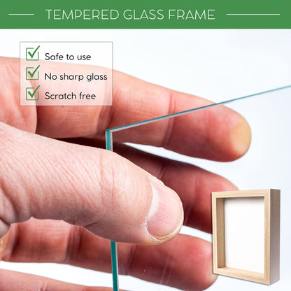 Wooden Shadow Box Frame – Display Case with Soft Felt Back, Memory Box with Tempered Glass, Elegant White Ball Push Pins