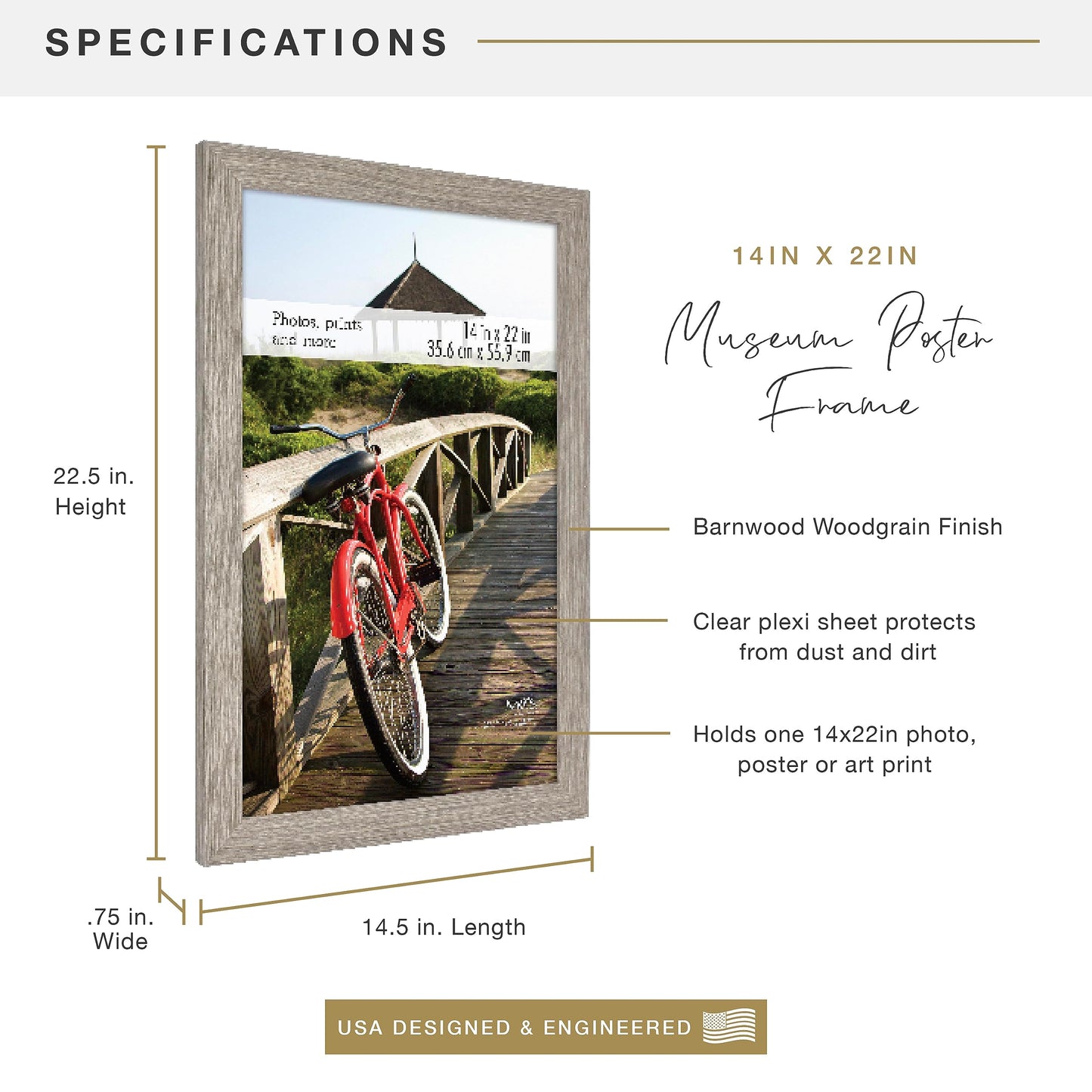 Museum Poster Frame Medium Oak, Vertical & Horizontal Wall Hanging Large Picture Frame for Photos, Posters & Art Prints